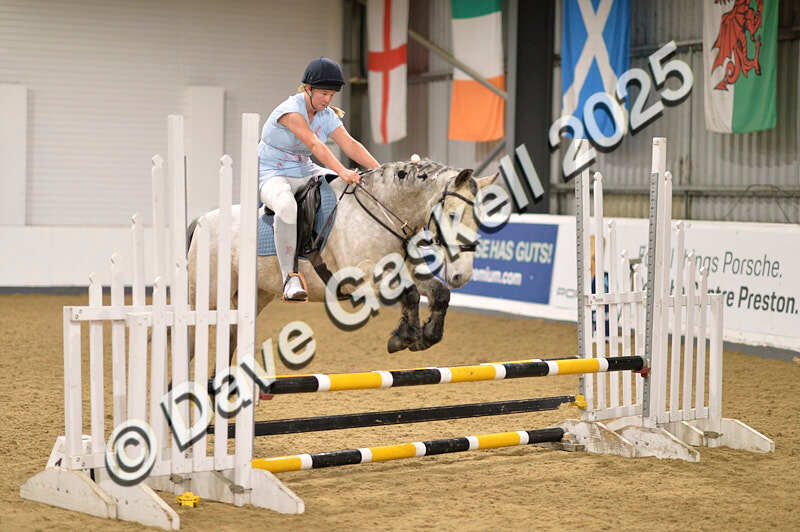 D4N_5038 - NorthcoteSun26thOct'25 Unaff.Jumping AvailableUntil28thNov'25