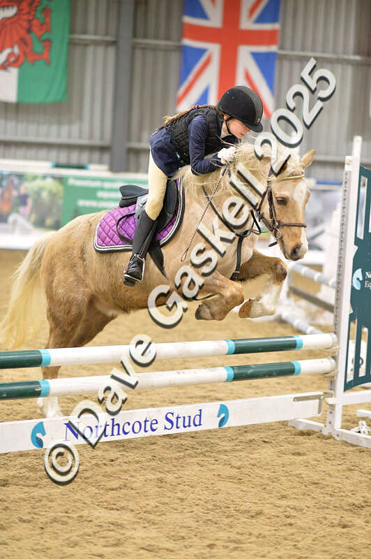 D4N_6861 - NorthcoteSat8thDec'25 XmasShowJumping AvailableUntil6thJan'26