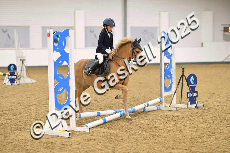D4N_6597 - NorthcoteSat8thDec'25 XmasShowJumping AvailableUntil6thJan'26