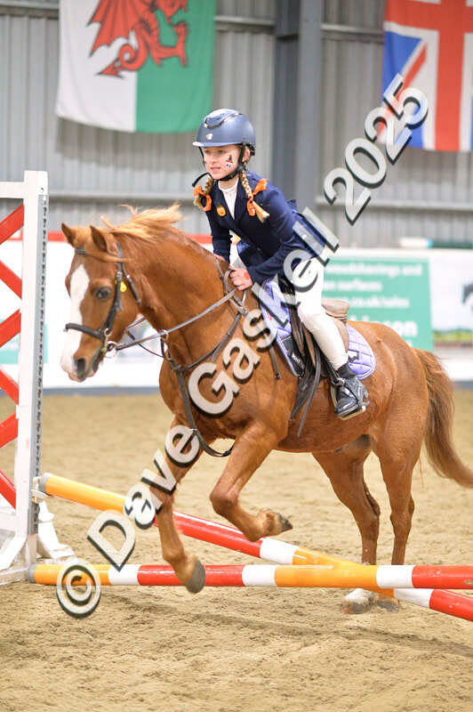 D4N_4717 - NorthcoteSun26thOct'25 Unaff.Jumping AvailableUntil28thNov'25