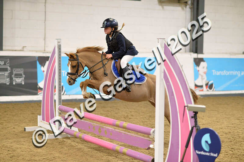 D4N_5680 - NorthcoteSun16thNov'25 Unaff.Jumping AvailableUntil16thDec'25