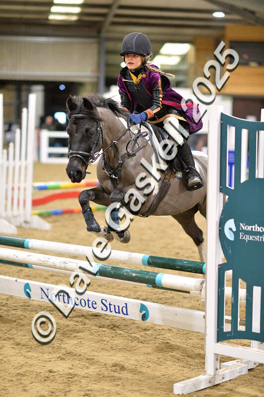 D4N_6911 - NorthcoteSat8thDec'25 XmasShowJumping AvailableUntil6thJan'26