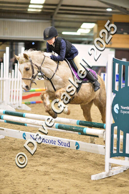 D4N_6864 - NorthcoteSat8thDec'25 XmasShowJumping AvailableUntil6thJan'26