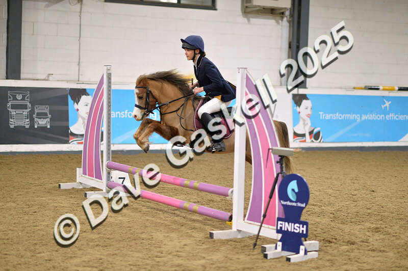 D4N_5530 - NorthcoteSun16thNov'25 Unaff.Jumping AvailableUntil16thDec'25