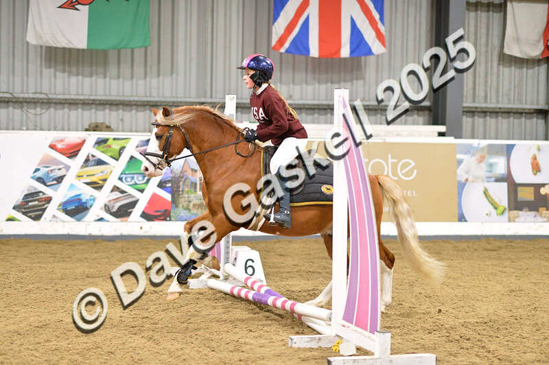 D4N_6642 - NorthcoteSat8thDec'25 XmasShowJumping AvailableUntil6thJan'26