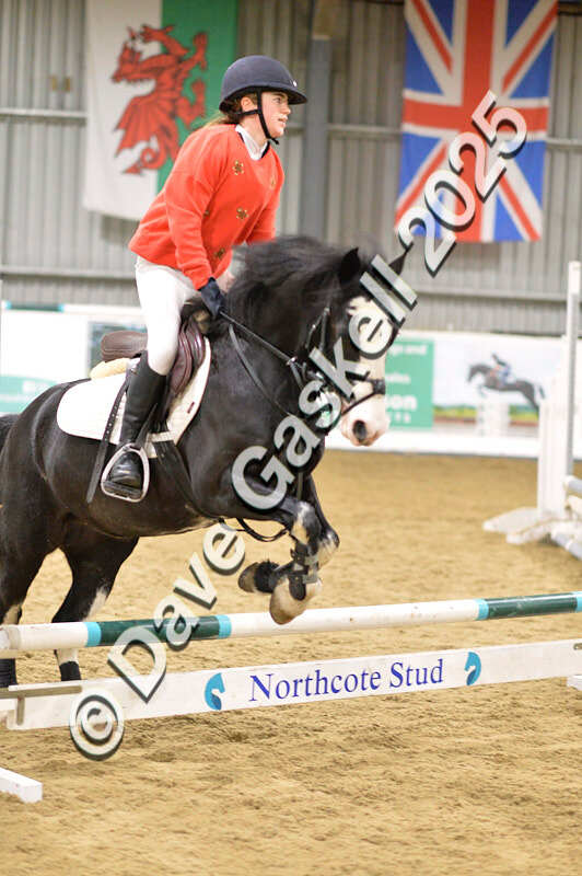 D4N_7092 - NorthcoteSat8thDec'25 XmasShowJumping AvailableUntil6thJan'26