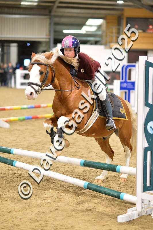 D4N_6660 - NorthcoteSat8thDec'25 XmasShowJumping AvailableUntil6thJan'26