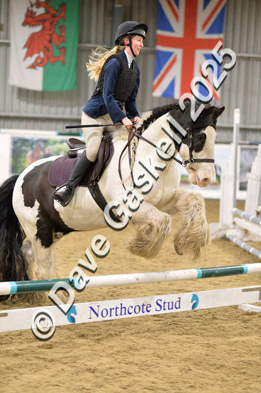 D4N_7079 - NorthcoteSat8thDec'25 XmasShowJumping AvailableUntil6thJan'26
