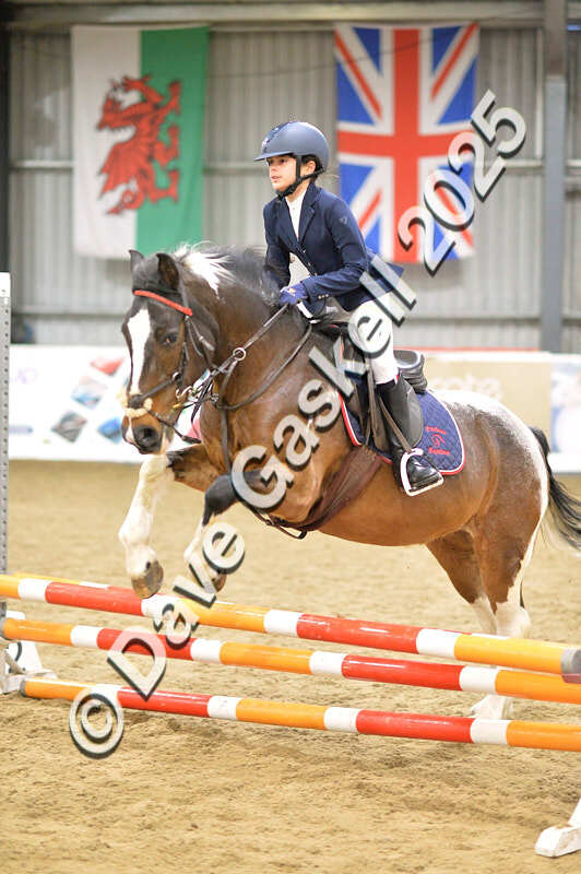 D4N_5608 - NorthcoteSun16thNov'25 Unaff.Jumping AvailableUntil16thDec'25