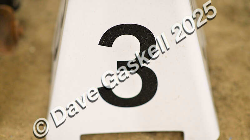 D4N_5583 - NorthcoteSun16thNov'25 Unaff.Jumping AvailableUntil16thDec'25