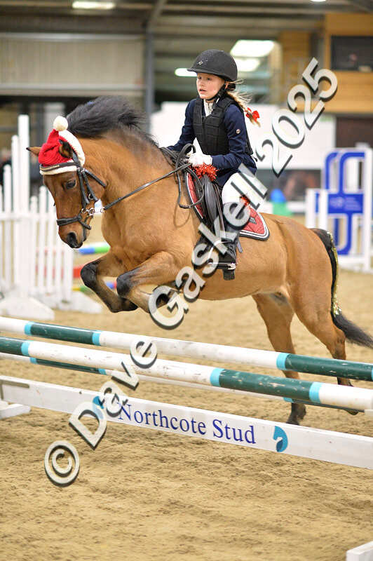 D4N_6846 - NorthcoteSat8thDec'25 XmasShowJumping AvailableUntil6thJan'26