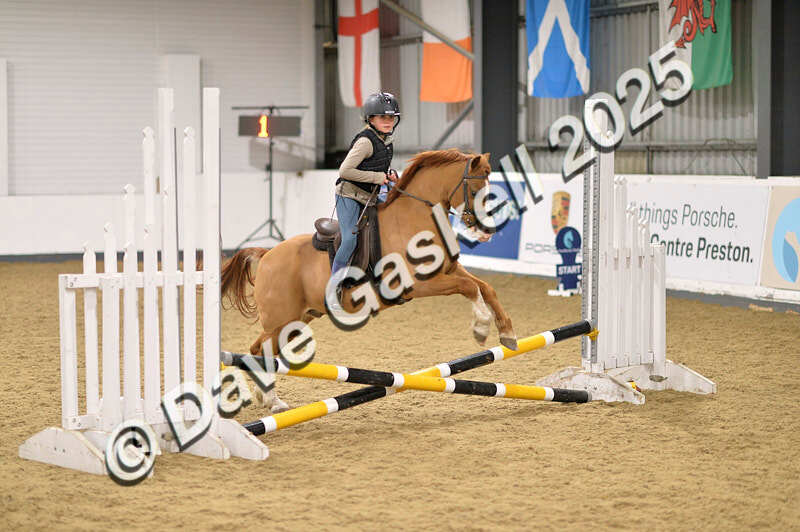 D4N_4762 - NorthcoteSun26thOct'25 Unaff.Jumping AvailableUntil28thNov'25