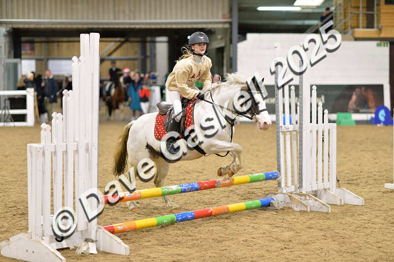 D4N_6730 - NorthcoteSat8thDec'25 XmasShowJumping AvailableUntil6thJan'26