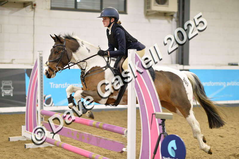 D4N_5798 - NorthcoteSun16thNov'25 Unaff.Jumping AvailableUntil16thDec'25