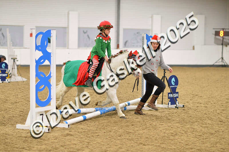 D4N_6591 - NorthcoteSat8thDec'25 XmasShowJumping AvailableUntil6thJan'26