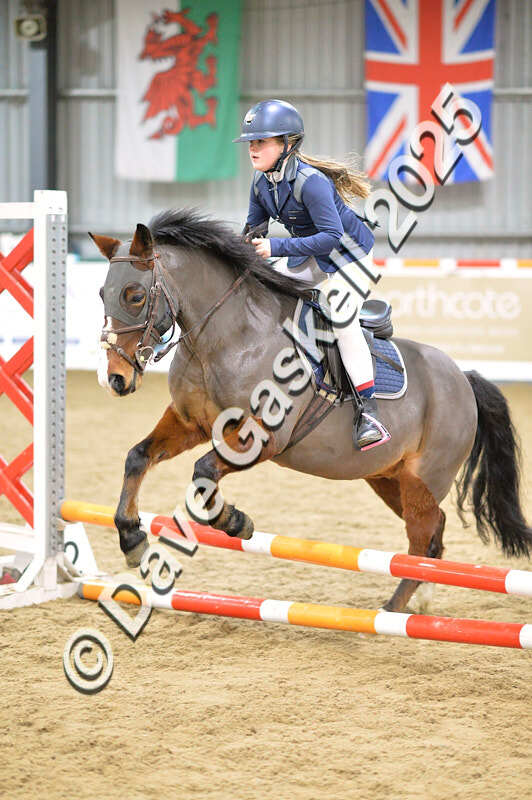 D4N_5533 - NorthcoteSun16thNov'25 Unaff.Jumping AvailableUntil16thDec'25