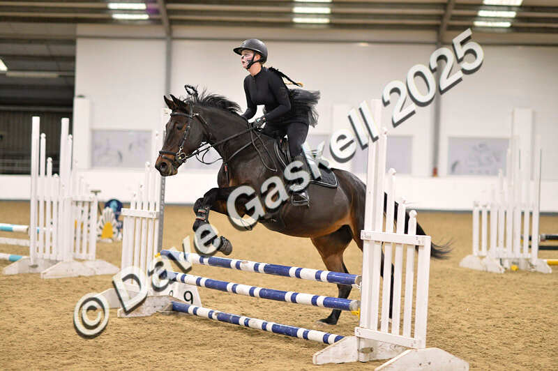 D4N_5229 - NorthcoteSun26thOct'25 Unaff.Jumping AvailableUntil28thNov'25