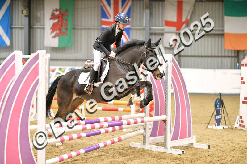 D4N_5781 - NorthcoteSun16thNov'25 Unaff.Jumping AvailableUntil16thDec'25