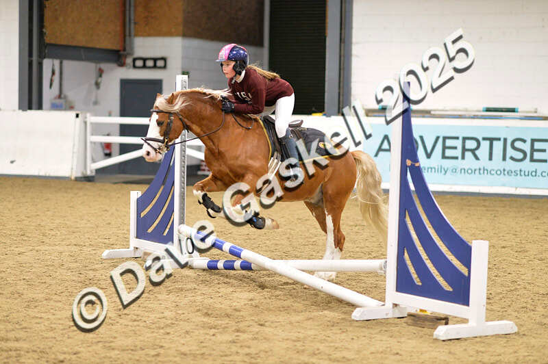 D4N_6645 - NorthcoteSat8thDec'25 XmasShowJumping AvailableUntil6thJan'26