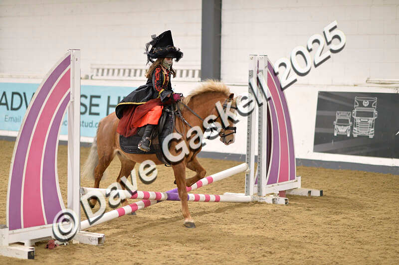 D4N_4691 - NorthcoteSun26thOct'25 Unaff.Jumping AvailableUntil28thNov'25