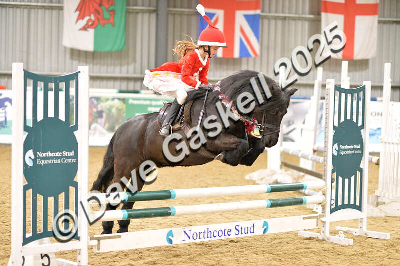 D4N_6829 - NorthcoteSat8thDec'25 XmasShowJumping AvailableUntil6thJan'26
