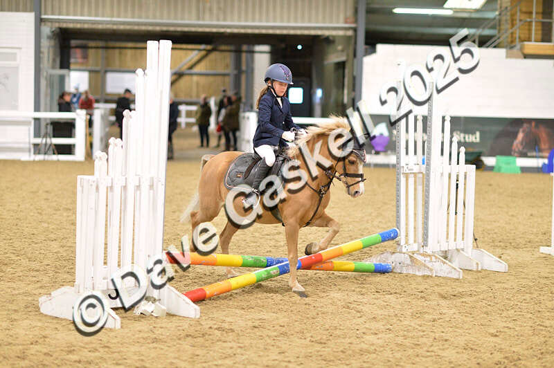 D4N_6594 - NorthcoteSat8thDec'25 XmasShowJumping AvailableUntil6thJan'26