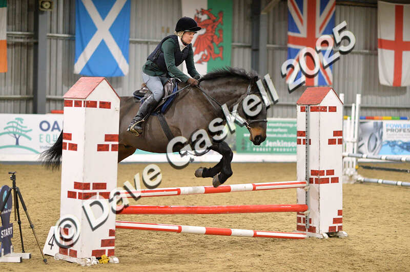 D4N_6110 - NorthcoteSun16thNov'25 Unaff.Jumping AvailableUntil16thDec'25