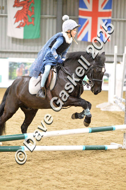 D4N_6724 - NorthcoteSat8thDec'25 XmasShowJumping AvailableUntil6thJan'26