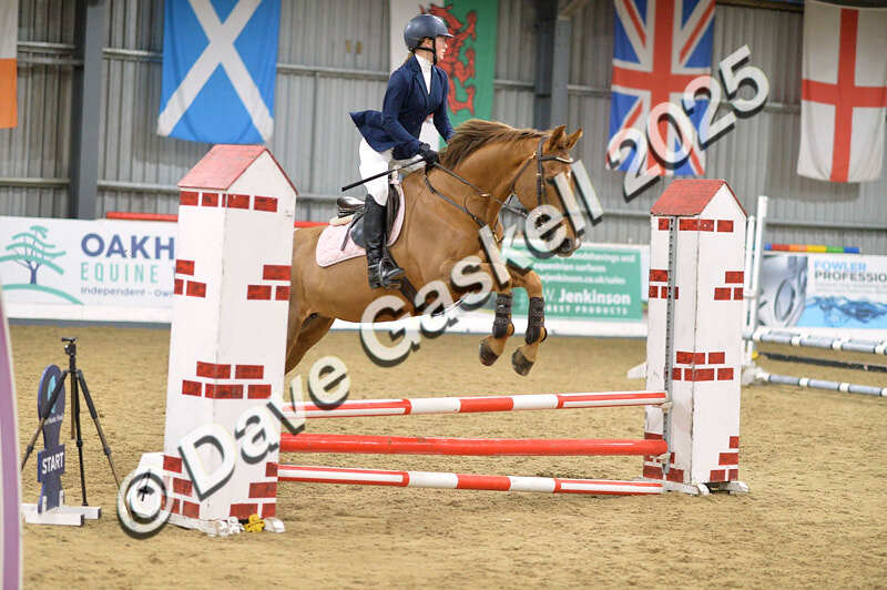 D4N_5967 - NorthcoteSun16thNov'25 Unaff.Jumping AvailableUntil16thDec'25