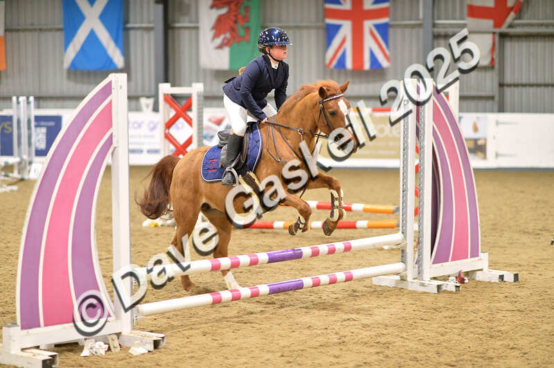 D4N_5568 - NorthcoteSun16thNov'25 Unaff.Jumping AvailableUntil16thDec'25