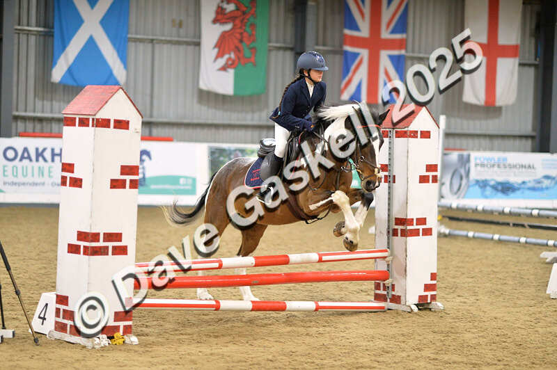 D4N_5609 - NorthcoteSun16thNov'25 Unaff.Jumping AvailableUntil16thDec'25