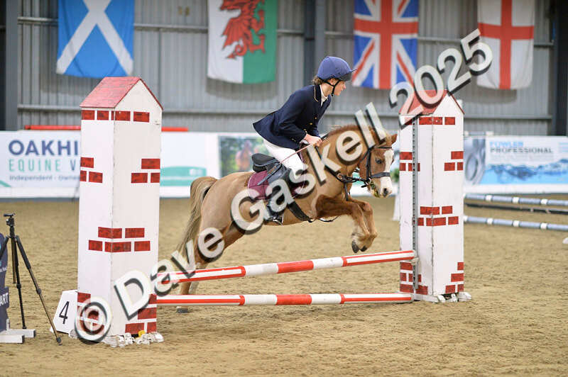 D4N_5528 - NorthcoteSun16thNov'25 Unaff.Jumping AvailableUntil16thDec'25