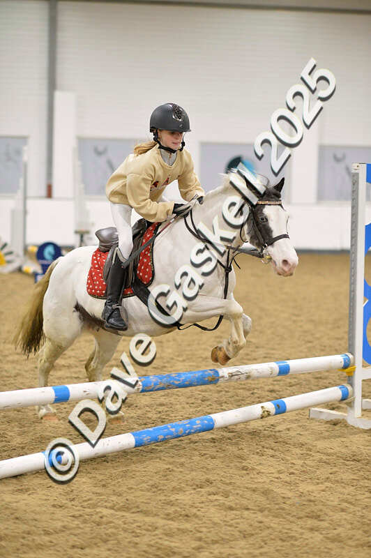 D4N_6733 - NorthcoteSat8thDec'25 XmasShowJumping AvailableUntil6thJan'26