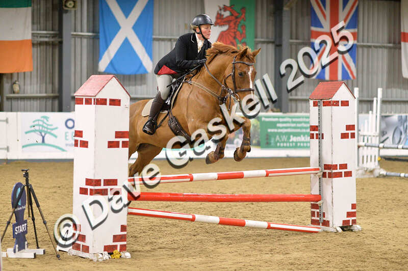 D4N_6348 - NorthcoteSun16thNov'25 Unaff.Jumping AvailableUntil16thDec'25