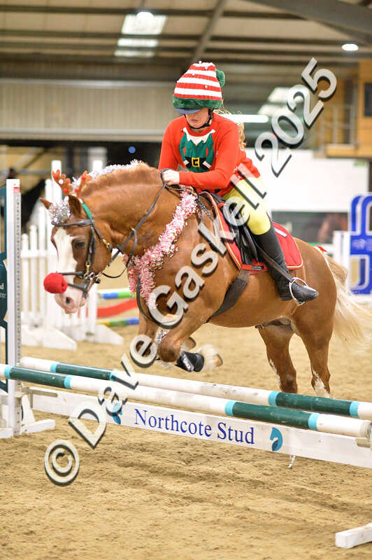 D4N_7102 - NorthcoteSat8thDec'25 XmasShowJumping AvailableUntil6thJan'26