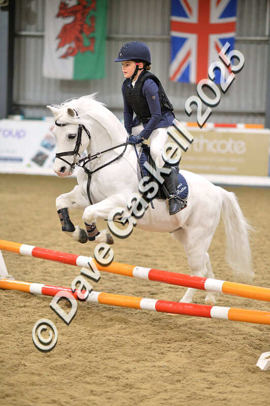 D4N_5546 - NorthcoteSun16thNov'25 Unaff.Jumping AvailableUntil16thDec'25