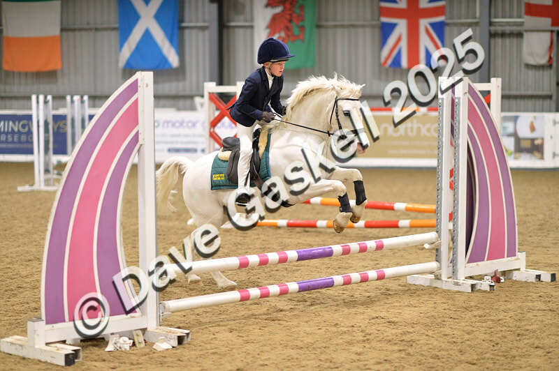 D4N_5581 - NorthcoteSun16thNov'25 Unaff.Jumping AvailableUntil16thDec'25