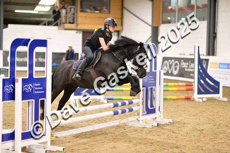 D4N_4950 - NorthcoteSun26thOct'25 Unaff.Jumping AvailableUntil28thNov'25