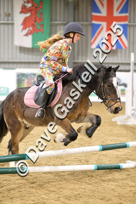 D4N_6703 - NorthcoteSat8thDec'25 XmasShowJumping AvailableUntil6thJan'26