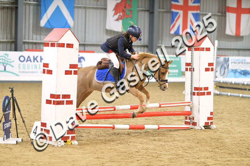 D4N_5678 - NorthcoteSun16thNov'25 Unaff.Jumping AvailableUntil16thDec'25