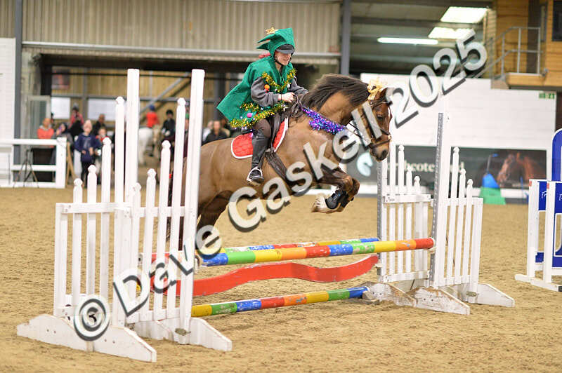 D4N_6857 - NorthcoteSat8thDec'25 XmasShowJumping AvailableUntil6thJan'26
