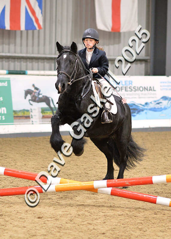 D4N_4593 - NorthcoteSun26thOct'25 Unaff.Jumping AvailableUntil28thNov'25