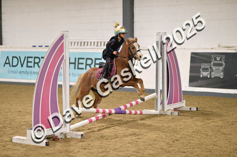 D4N_4730 - NorthcoteSun26thOct'25 Unaff.Jumping AvailableUntil28thNov'25