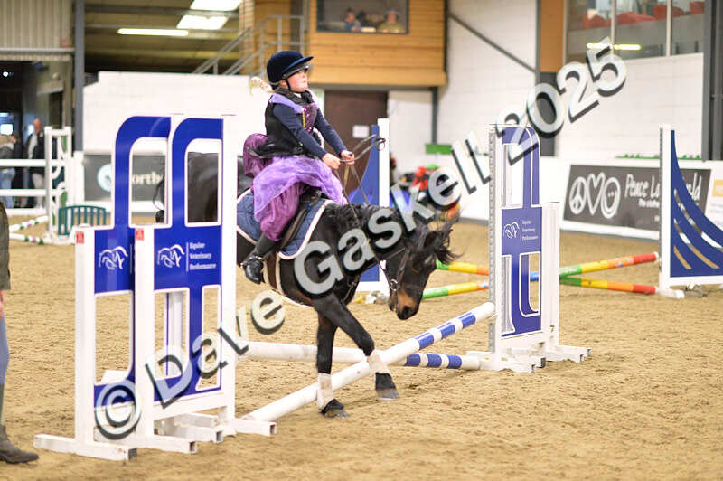 D4N_4689 - NorthcoteSun26thOct'25 Unaff.Jumping AvailableUntil28thNov'25