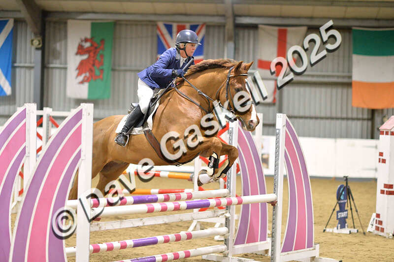 D4N_6435 - NorthcoteSun16thNov'25 Unaff.Jumping AvailableUntil16thDec'25