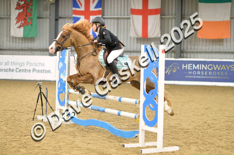 D4N_5839 - NorthcoteSun16thNov'25 Unaff.Jumping AvailableUntil16thDec'25