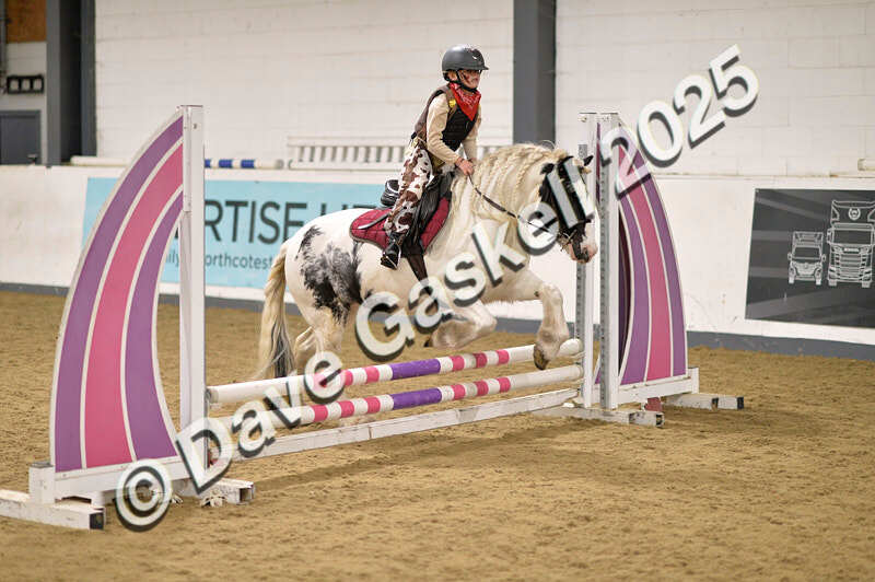 D4N_4744 - NorthcoteSun26thOct'25 Unaff.Jumping AvailableUntil28thNov'25