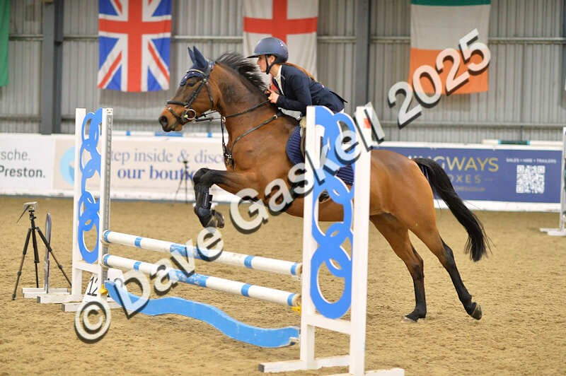 D4N_5776 - NorthcoteSun16thNov'25 Unaff.Jumping AvailableUntil16thDec'25