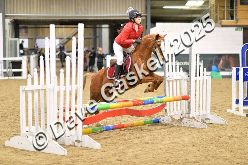 D4N_6928 - NorthcoteSat8thDec'25 XmasShowJumping AvailableUntil6thJan'26