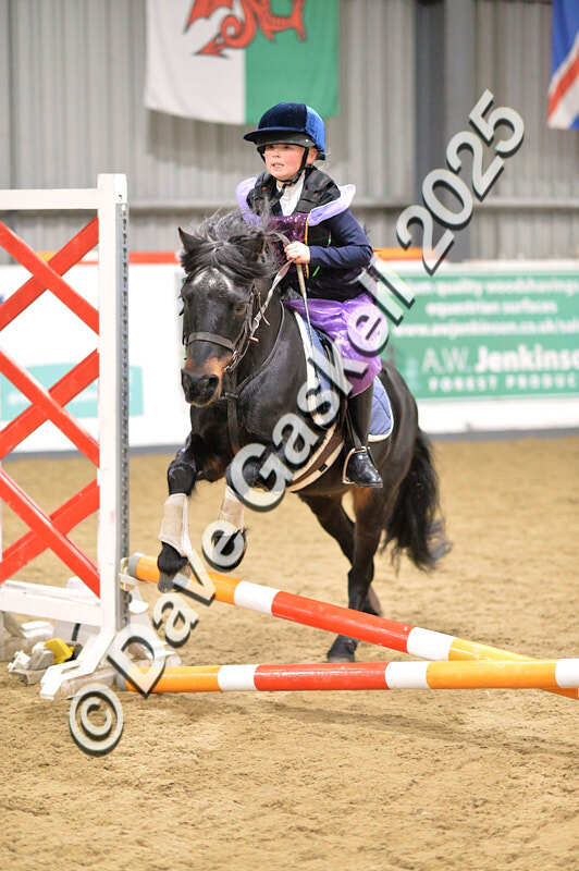 D4N_4687 - NorthcoteSun26thOct'25 Unaff.Jumping AvailableUntil28thNov'25